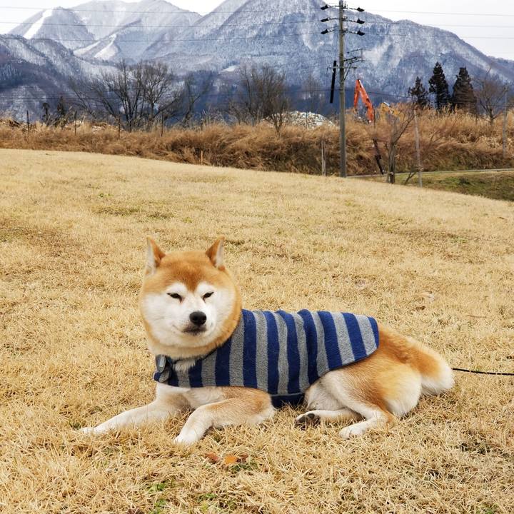 9a5068d4 98af 4230 8894 6bbd566edf41 1579151602707