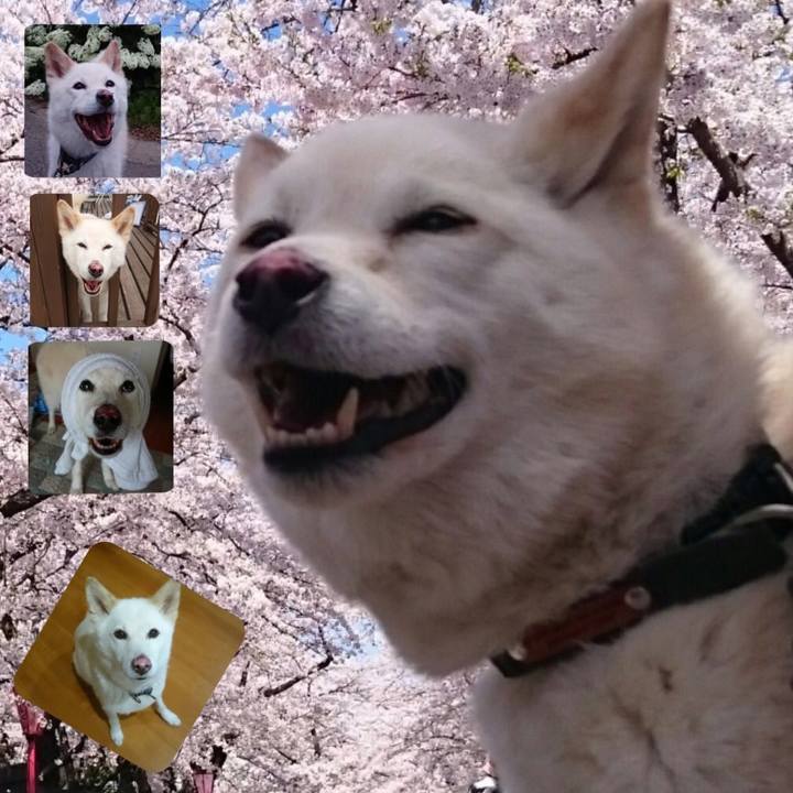 9a506f37 ef41 4596 adc3 fdb803c36b78 1567240047576