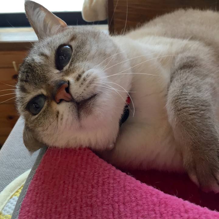 9a50963f f1b9 45b1 b2b7 a84efce5ec43 1527753620211