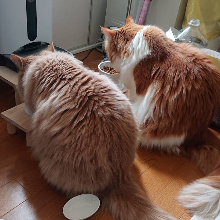 9a509708 3c6f 481c 8b59 6fb07d8bab4c 1613443680651