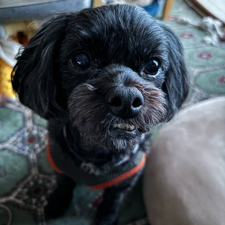 9a509814 543e 47ff 830a 37b5dc2a1e7d 1731551974096