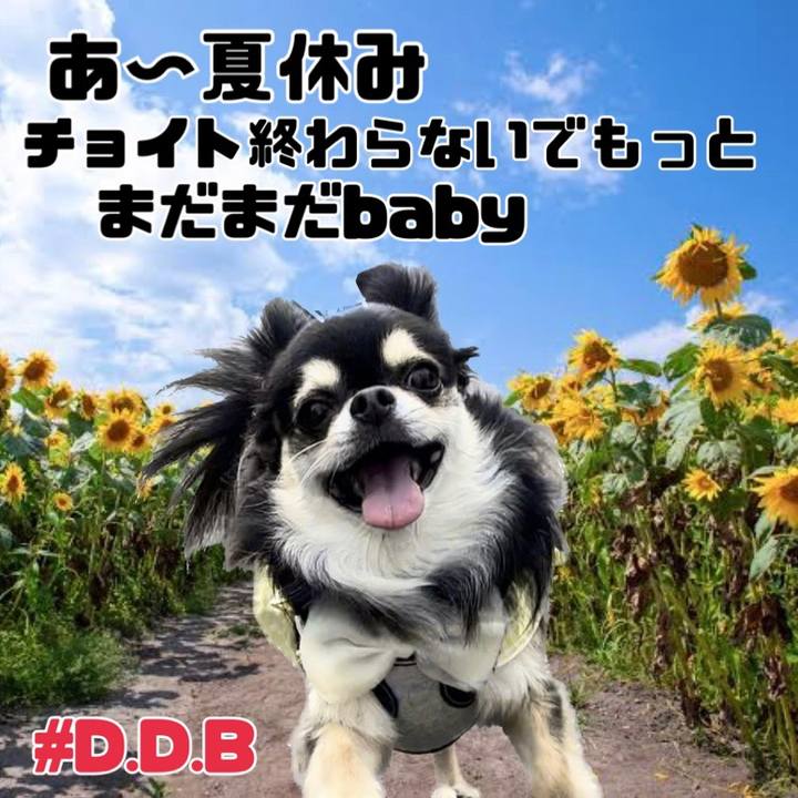 9a50c4d6 08c3 415a b388 a445f2f5a436 1691832545630