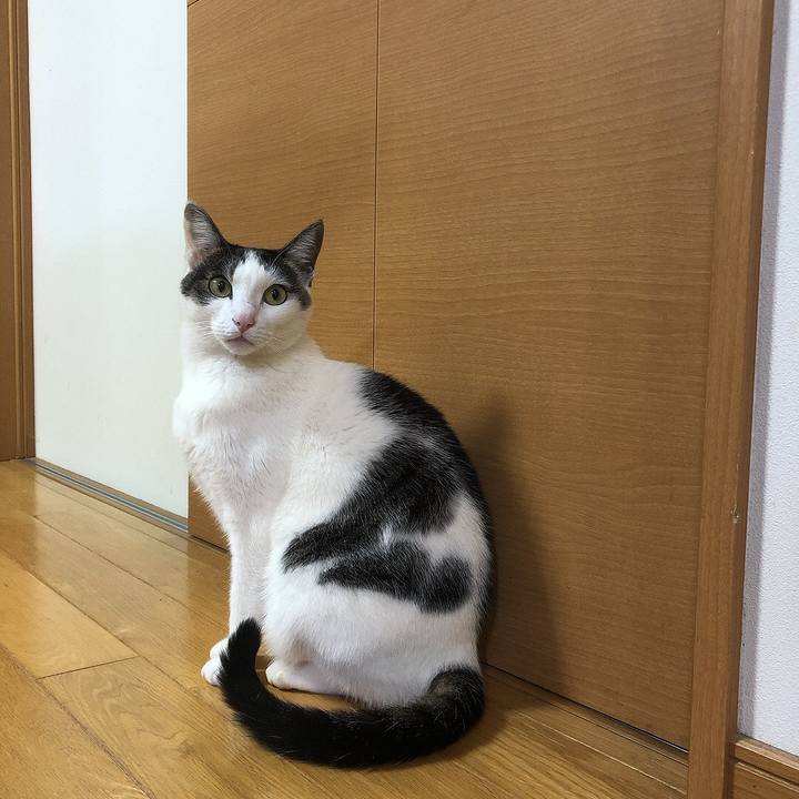 9a51049e a2ec 46aa b177 b9647d5c0ded 1678361931181