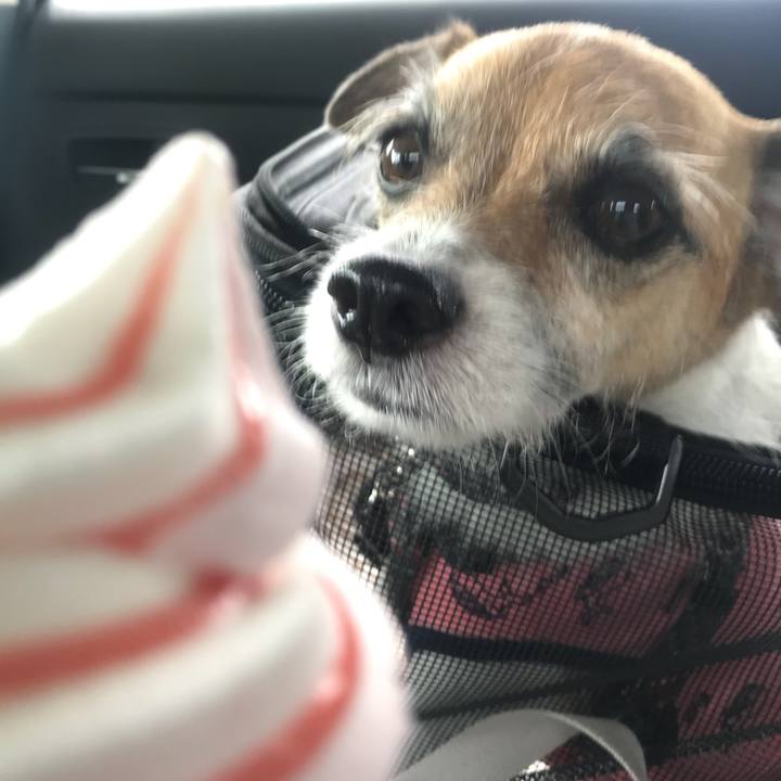 9a511dd2 fcb4 4eee 9119 a1eab04df76c 1530944112341