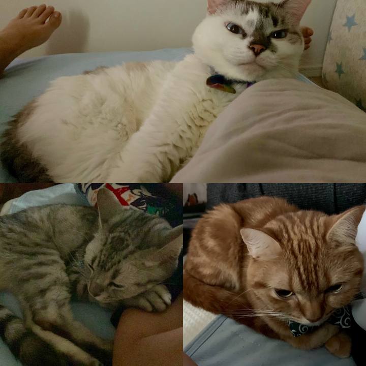 9a511eec 63a9 41ea aff0 92ff8d1afcff 1570952786482