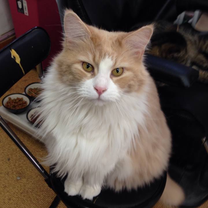 9a51a932 1cc5 4f4b bda1 d584fad47ba1 1515117926884