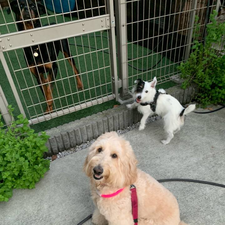 9a51af53 70c6 4d20 a669 6d53ba609bb7 1728206043531