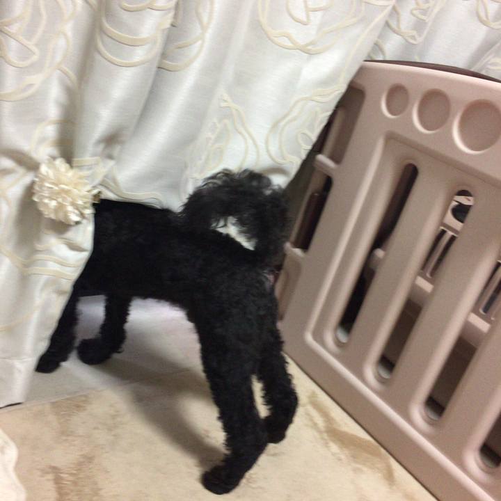 9a51b840 b753 44b3 9b53 edcdd339ba8c 1508134647969