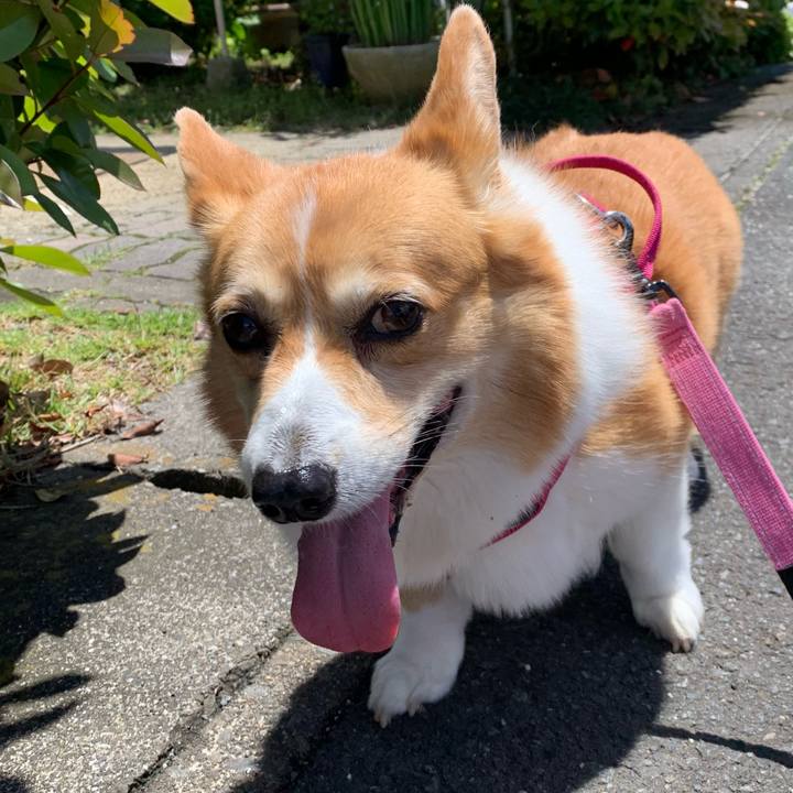 9a52385f 2c2c 499f b649 e924131d3e83 1683516733708