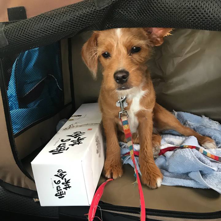 9a523a13 39fa 4369 8986 7a0132085389 1524126376258