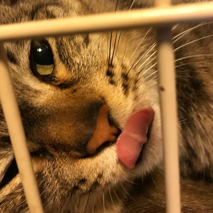 9a524a41 b5da 4e87 879e 48cfef9bea0c 1563111735114