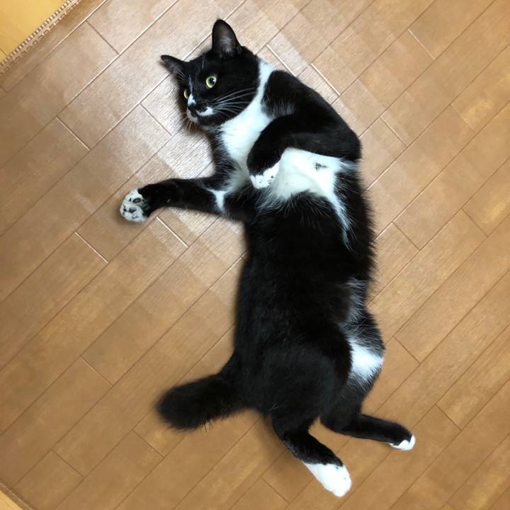 9a52565a 8fc0 4d3f 8e97 f9bdd832828f 1522899822811