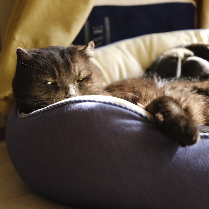 9a526d2d 0890 4aef b79e c147edf313ce 1644598065701