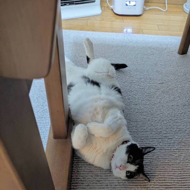 9a5299bf 7b18 4bc1 aebb c119aecb5cab 1743298921022