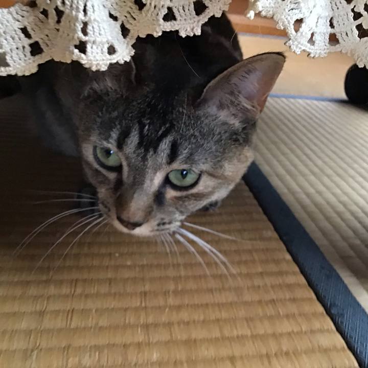 9a52a7fc 28eb 4add b1db 5a51dfaeeb7e 1624604542938