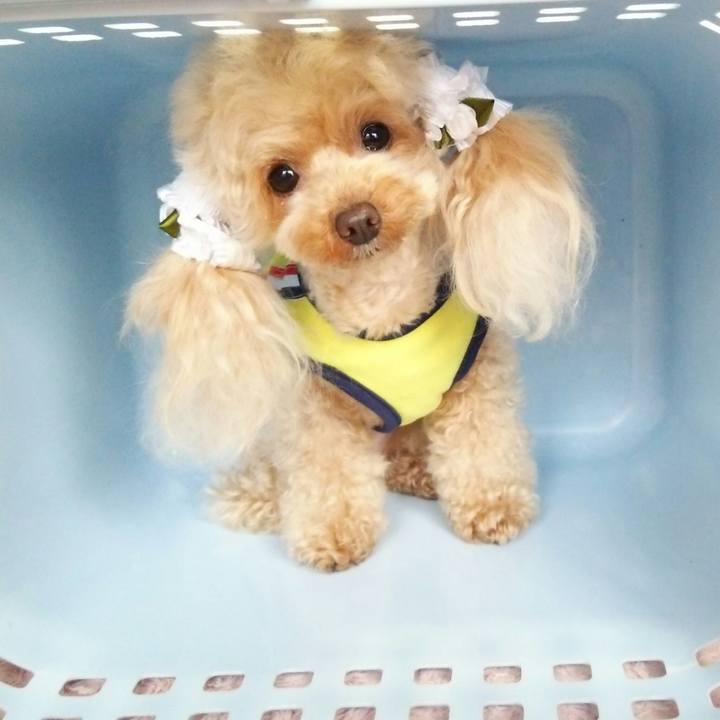 9a52aae6 e5d2 4e04 8121 0dd98720c5eb 1549801183549