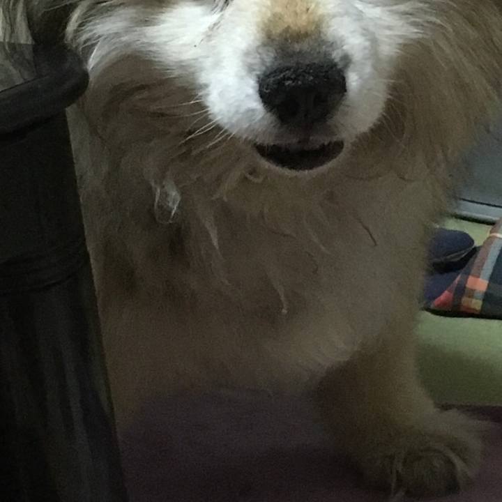 9a52dda8 00fb 4899 8d47 de2ae2419fc7 1606211326624