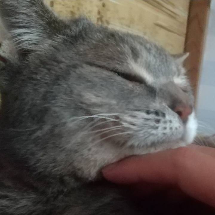 9a52e894 845e 4941 9653 c89967cedcd6 1625360061296