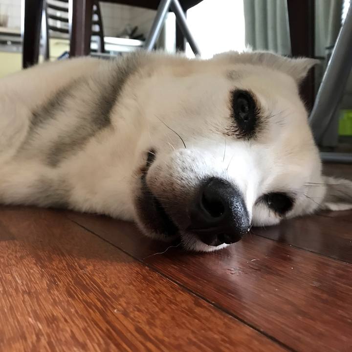 9a5309ea efc8 4dac 8e0f e42f583b730b 1586340640025