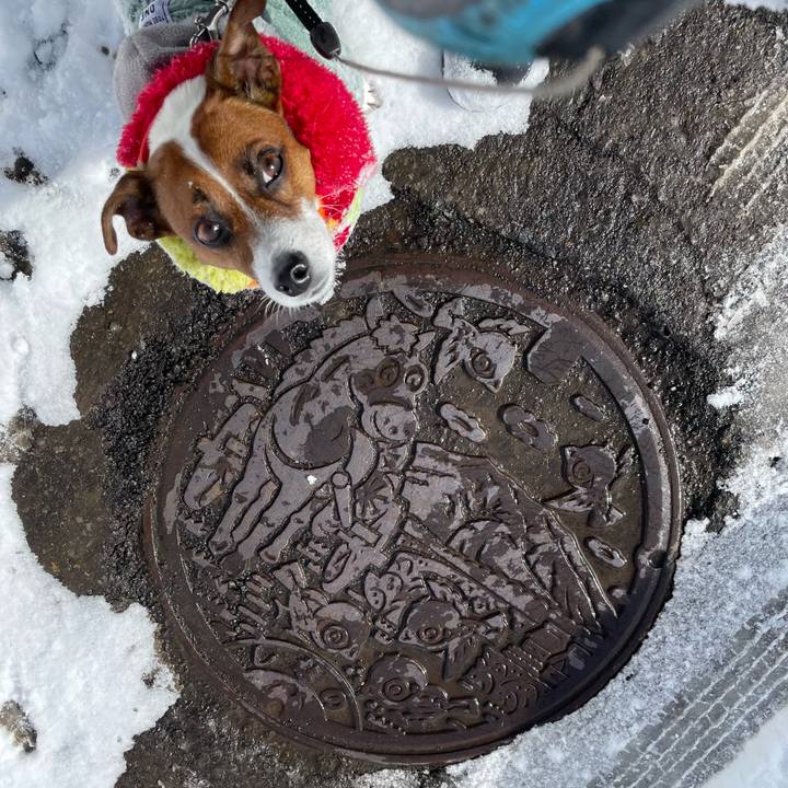 9a533477 8dc4 4ee3 b252 e44e31418aac 1645595697982