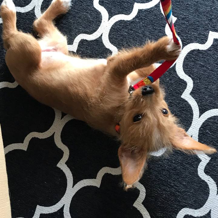 9a5338bd 7510 43e7 8821 cde73e747a24 1518502212545