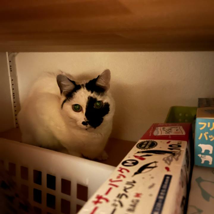 9a5342a5 6752 4c41 9f80 d5953216a672 1761861379097