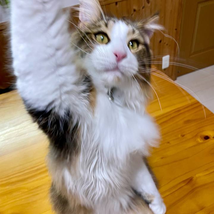 9a534726 d6c2 4205 8037 77650e2caa2f 1646740650075