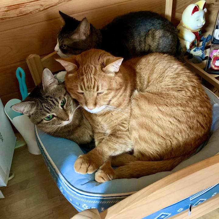 9a538de6 5e3d 4929 b7c7 c8be134a8da5 1647657695594