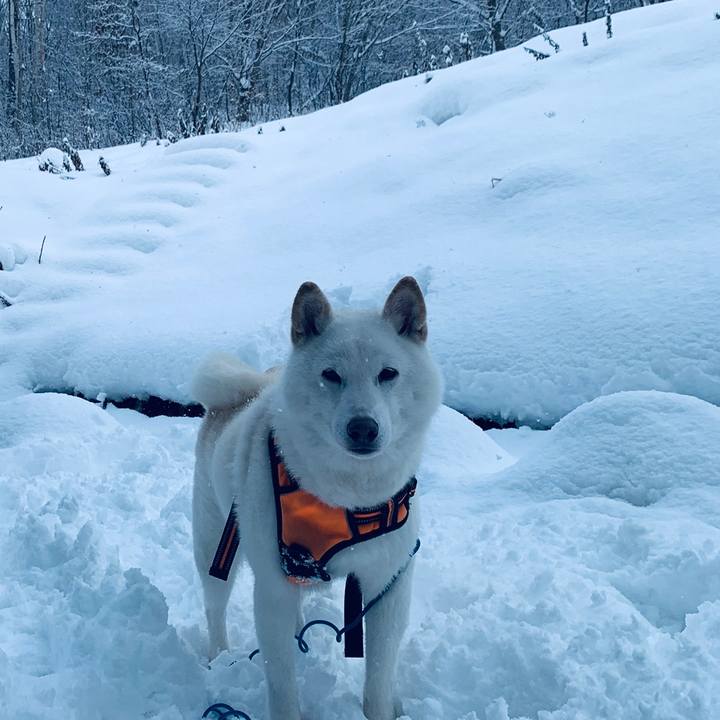 9a53be73 6047 4db5 8b2d b7dddd780b7c 1670452822351