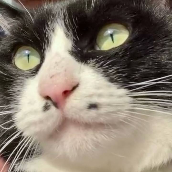 9a540b9d 58bc 476d b450 0eb3eb4f9d40 1738893998410