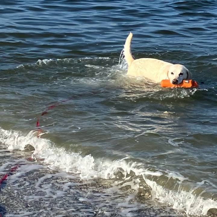 9a546371 2a2d 4d85 98d5 ea74c1211349 1691332403022