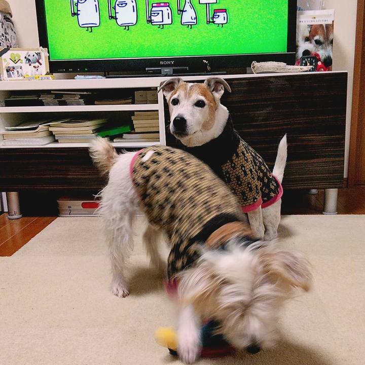 9a54680f 0f48 4f8c bc67 cc6259fb3d87 1578608147736