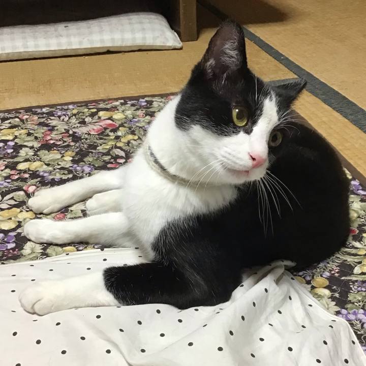 9a546832 2482 4c9d aaea 53907717e39e 1656154495188