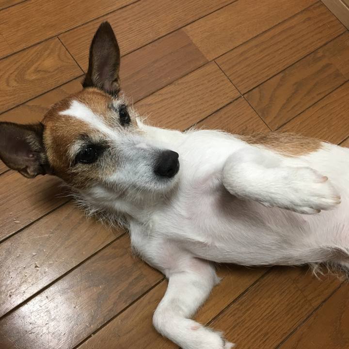 9a548524 a18c 4e7d 95dc 061463c9ced1 1568259635162