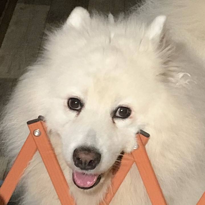 9a548879 34d5 449b a1d7 6925f5341c90 1629008927969