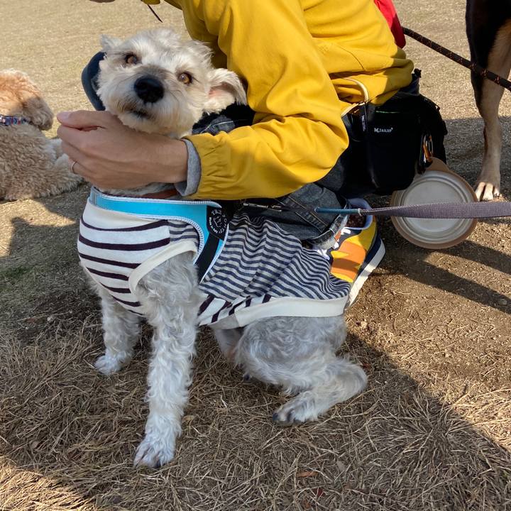 9a54b8e9 7d8d 45a7 8a11 16d47131893f 1668835843289