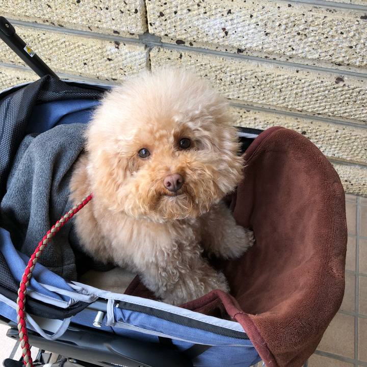 9a54cb6e e6cd 445b 9c6c fa345ede06ef 1519819655441