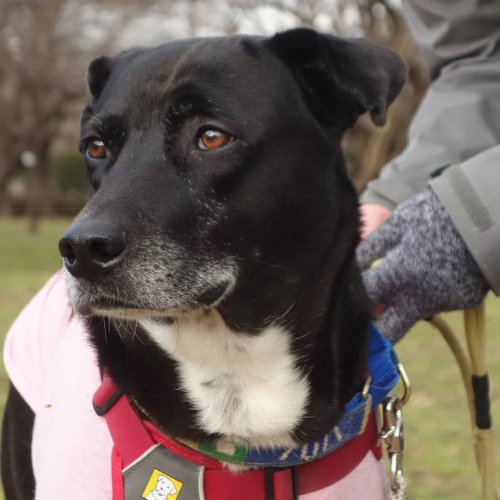 9a54d8c2 318d 4fc6 97d7 27207d991ad0 1672188982449