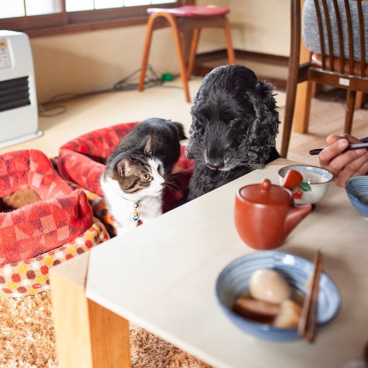 9a54e1e5 5fe7 4b77 819f c07911f44319 1581917133593