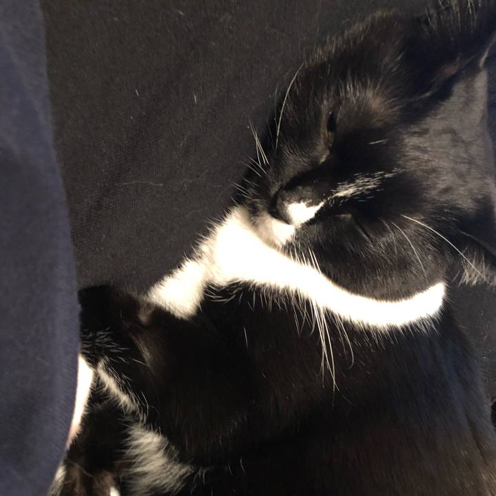 9a550d21 83f8 4d4b 8dbf fdf01c59ea65 1577756548488