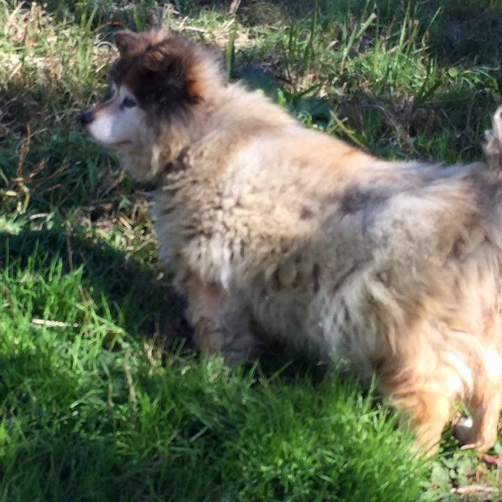 9a554772 9502 447b a24b b0c962a363fd 1590428087359