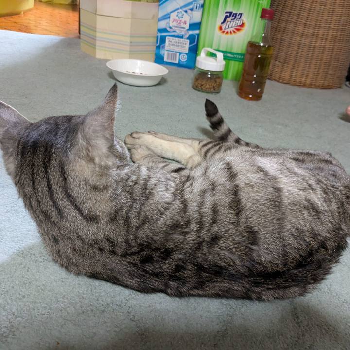 9a55594e 4b76 46dd abf6 29e63a1334ef 1742042593417