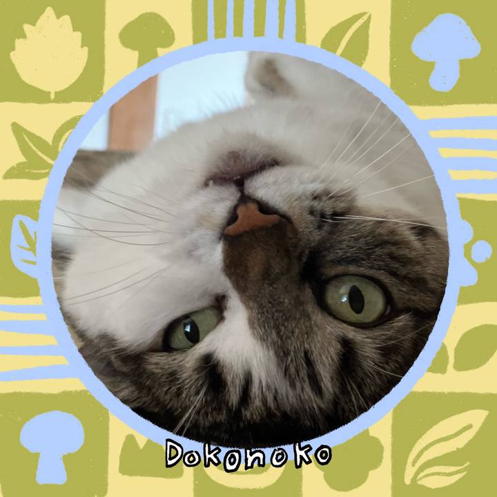 9a556787 7ab8 41e7 b014 6a102e9a66ca 1762476254064