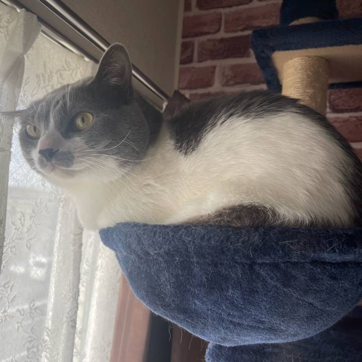 9a558ea2 655d 425b a947 3fe5b3354608 1666393757017