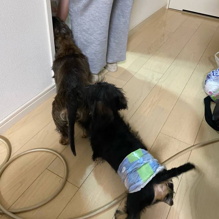 9a55c209 09c2 47c5 b396 fdfe6934804e 1586966084050