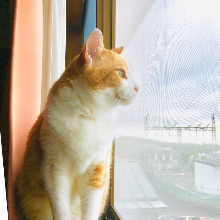 9a55d429 0fe3 4825 807c d4bdb584ed31 1564126966839