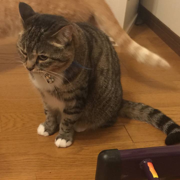 9a55d896 4312 4d9e ba57 455f7fbfad21 1561302102100