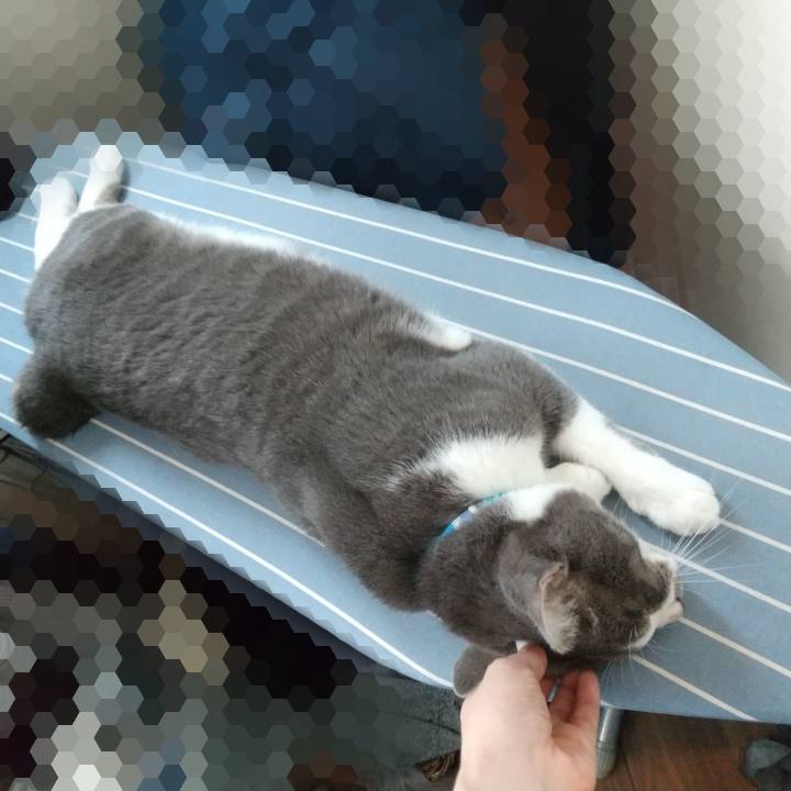 9a55dc0c 2495 4654 90ba 01f7ff4e9afa 1626751386385