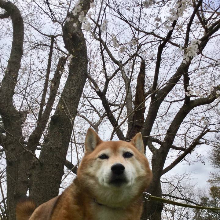 9a55ebe4 7251 4a21 8559 17defb719ac1 1616388164069