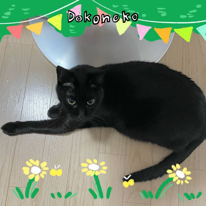 9a561234 7836 48be b604 bd4ee1f80eae 1711023569228